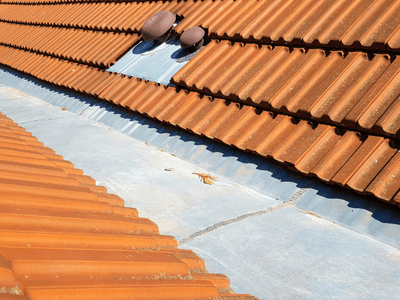 About Leaking Skylight Repair Pros Dodge, NE